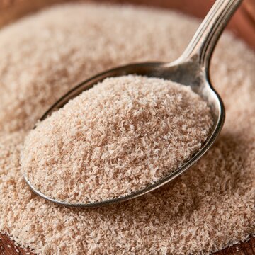 Spoonful of Psyllium Husk Fiber Supplement Close-Up