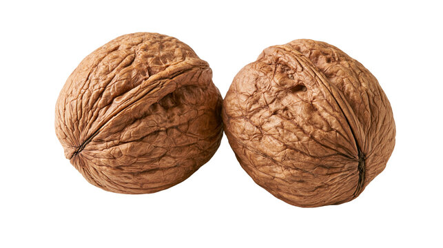 Two whole brown walnuts with textured shells