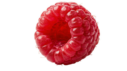 Single ripe red raspberry fruit with textured surface and hollow center © Ari