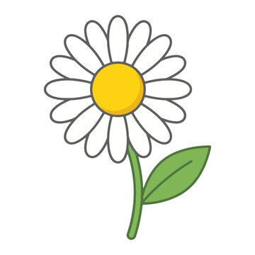 Simple vector illustration of a single daisy flower with white petals, a yellow center, and a green leaf on a stem, isolated on transparent background