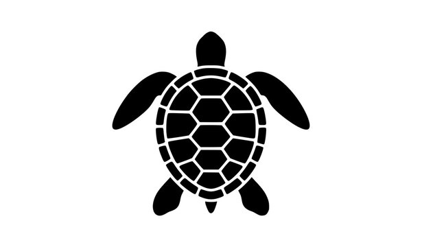 Decorative black turtle shell silhouette top view with geometric pattern vector icon