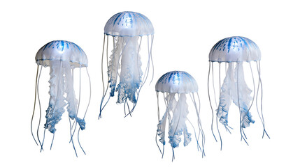 Four translucent blue and white jellyfish decorations with long flowing tentacles © Thaddeus