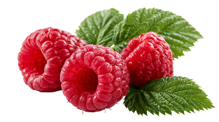 Fresh ripe red raspberries with green leaves © Thaddeus