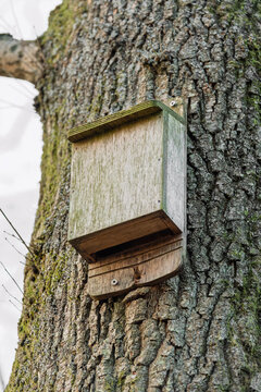 Bat nesting box with bottom entrance mounted on mature tree trun
