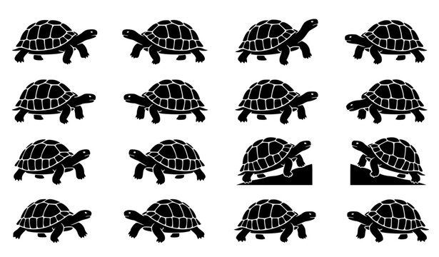 Walking Land Tortoise Black Silhouette Vector Icon Set