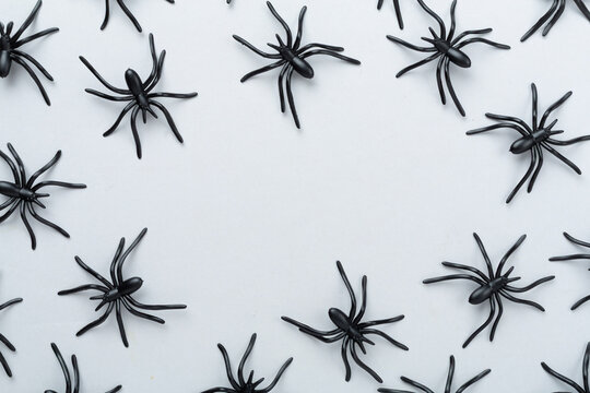 Small decorative halloween spiders on color background, top view