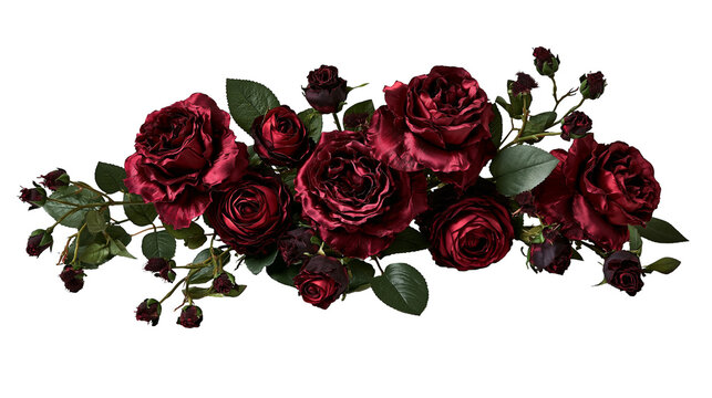 Deep burgundy red rose flower arrangement with green leaves and small buds