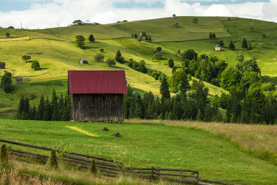 Rural Summer Landscape with Traditional Hut in Bucovina