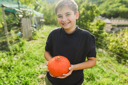Happy boy holding organic pumpkin with hands inside vegetable home garden - Young people having fun during fall season - Autumn lifestyle concept - Main focus on gourd  - UGC wide lens content