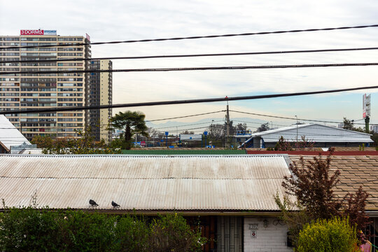 Residential rooftops with corrugated metal sheets and perched birds sit in the foreground of a Santiago neighborhood