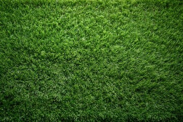 Fototapeta premium The Grass Close Up Lush Green Lawn Texture with Vibrant Natural Detail