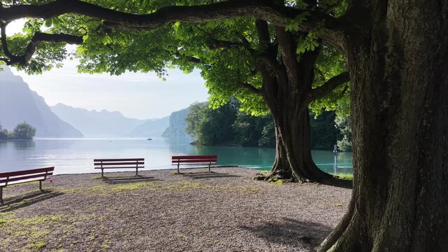 Walensee lakeside benches sit under trees near Weesen, Switzerland, drone pushes toward turquoise water, mountains and misty alpine valley.