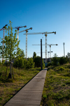 Construction cranes beyond a new pedestrian path in Nordbahnviertel Vienna Austria showing ongoing urban development beside emerging green public space