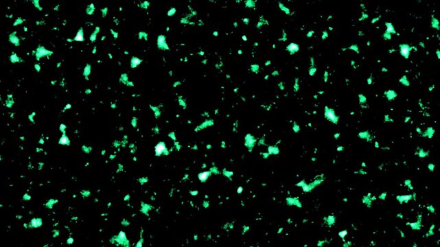 Green and white speckled texture creates dynamic noise grains. Abstract granular surface details shift across this speckled texture. Retro analog film aesthetics define the speckled texture.