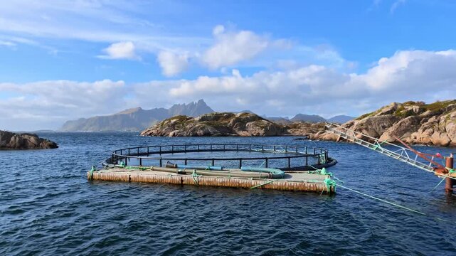 Modern fish farm in Nusfjord, Lofoten, with a floating aquaculture pen, rocky islands and impressive mountains beneath a blue, cloud-filled sky.