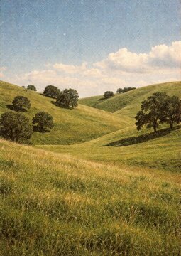 Serene rolling hills landscape