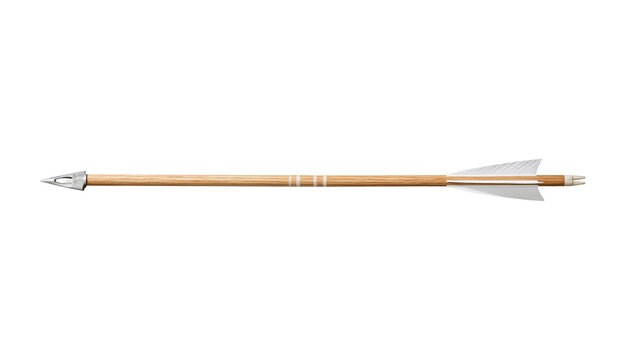 Traditional wooden archery arrow with metal arrowhead and white fletching