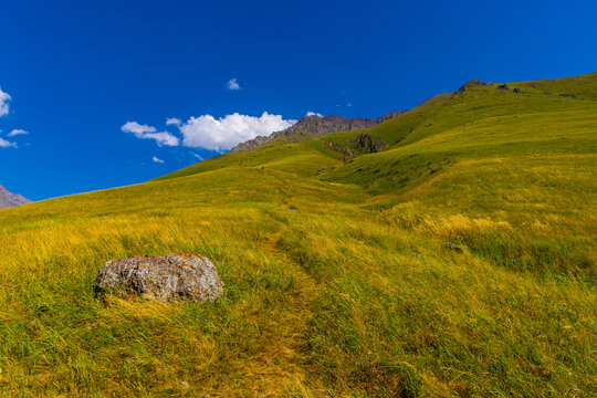 Vibrant Grassy Hillside with Boulder and Worn Path