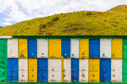 Colorful Apiary Boxes on Grassy Hillside in Kyrgyzstan
