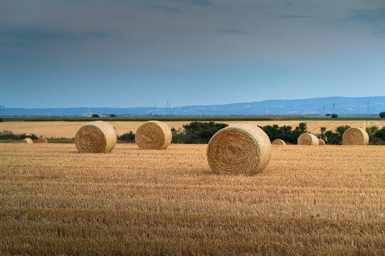 Golden sunset over farm field with hay bales.