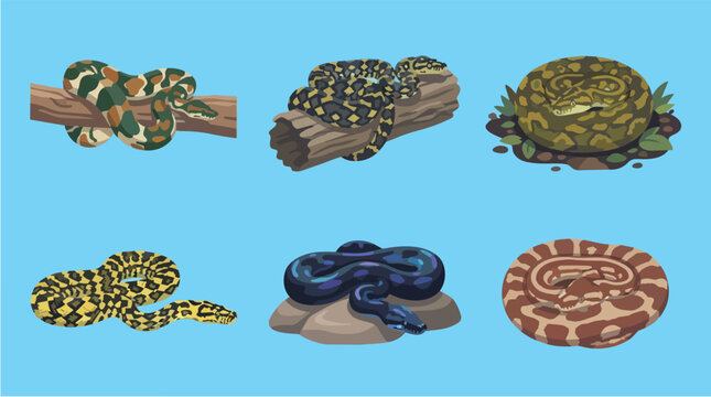 Flat Set Collection of Six Snake Patterns in Vector Design