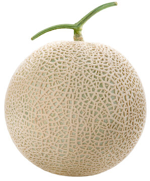 Orange Melon isolated on white background, Shizuoka Crown Melon or cantaloupe isolated on white background, With clipping path, for premium food packaging design.