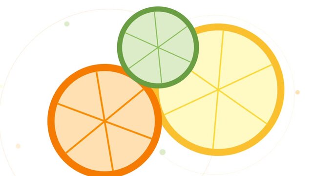 Animated citrus fruit slices floating against a white background