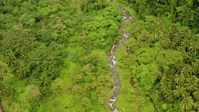 River in the valley among the rainforest, covered with trees and jungle aerial view. River in the green forest. Camiguin, Philippines.