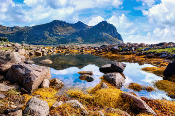 Rocky coastal landscape along Fv815 near Sennesvik on Vestvagoya with yellow seaweed, calm water, reflections and towering mountains beneath a blue, cloud-filled sky. © EKH-Pictures