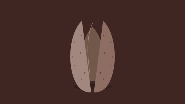 Almond Nut Cracking Open Motion Graphic with Detailed Shell Texture on Brown Background