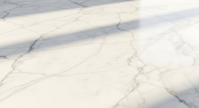 Natural Light Shadow Play on a Marble Surface Background.