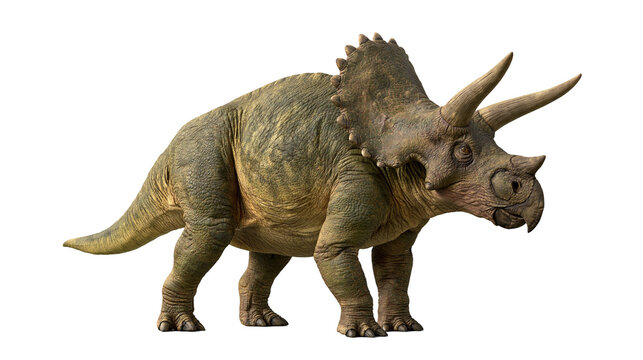 Detailed Triceratops dinosaur with textured green skin and large bony frill