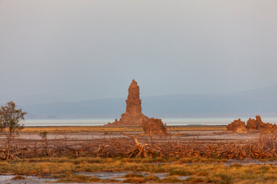A bird perches atop a solitary limestone chimney rock formation, Afar depression, Lake Abbe, Djibouti