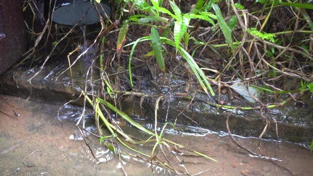 Static shot of water trickling over stones with green plants in garden setting