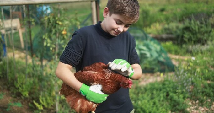 Happy young boy holding chicken inside vegetable home garden - Nature, teenager people and countryside lifestyle concept - UGC content