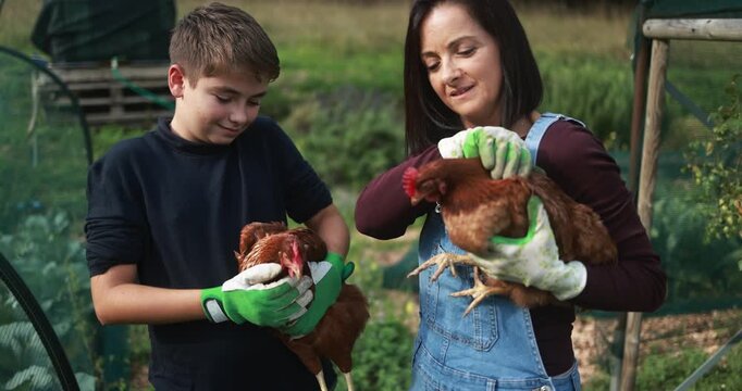 Happy mother and son holding chicken inside vegetable garden - Family people having fun in fall time - Nature and countryside lifestyle concept - UGC content