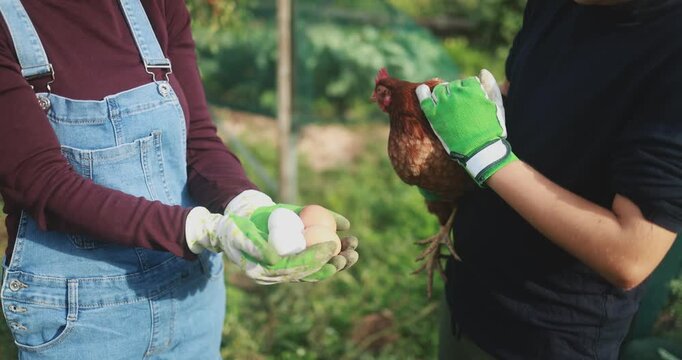 Happy mother and son holding chicken and eggs inside vegetable home garden - Family people having fun in fall time - Nature and countryside lifestyle concept - UGC content