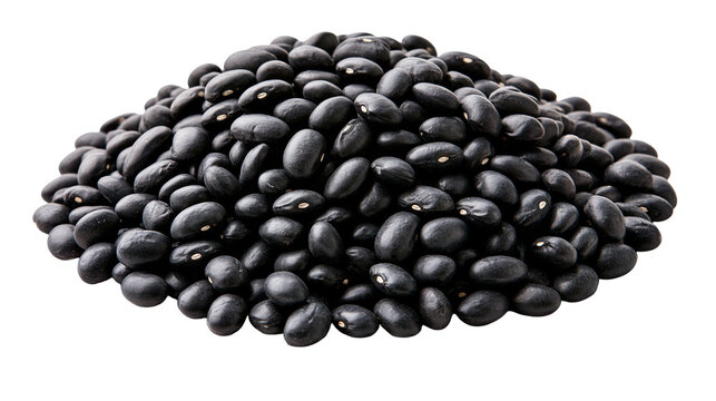 Heap of raw dry black turtle beans