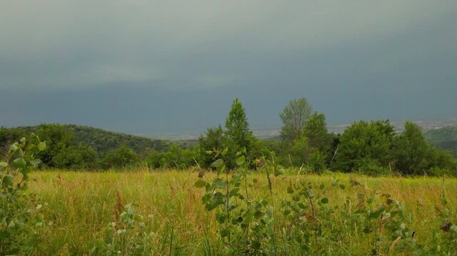 Distant lightning flash discharging over green rural hillside under heavy dark thunderclouds and wild meadow.