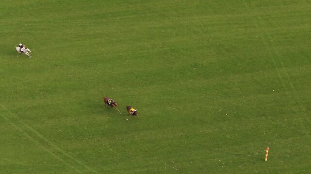 High angle aerial view of a polo match on green grass field