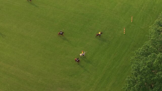Aerial view of polo players riding horses during a match on a green field