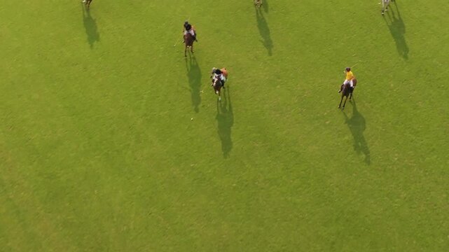 Aerial view of a polo match on a green field