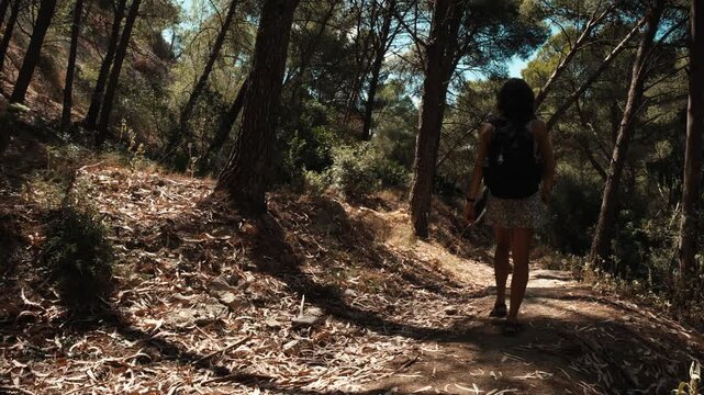 A young woman hiker walking away along a leaf strewn winding dirt path through dappled pine forest shade in El Chorro Andalusia Spain surrounded by dry autumn leaves and tall trees