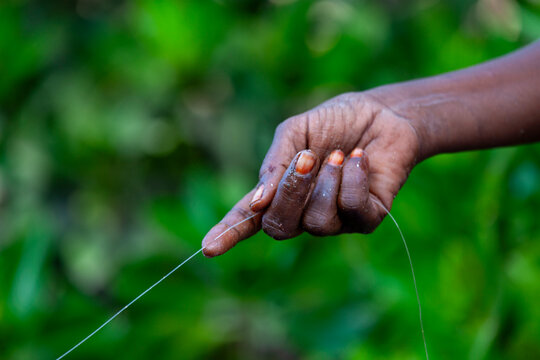 A fisherman's hand holds a thin fishing line stretched taut against a blurred green background, Obock Region, Gorodia, Djibouti