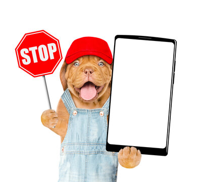 Happy Mastiff puppy wearing red cap and denim overalls showing stop sign and big smartphone with white blank screen in it paw. Isolated on white background