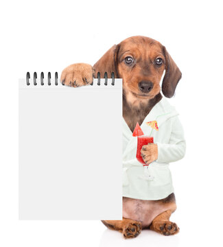 Funny Dachshund puppy wearing bathrobe holds glass of tropick cocktail or watermelon juice and shows blank notepad. Isolated ob white background