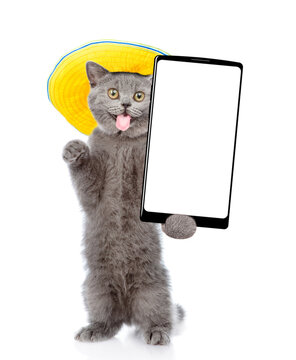 Funny cat with tongue wearing summer hat standing on hind legs and showing big smartphone with white blank screen. Empty space for text. isolated on white background