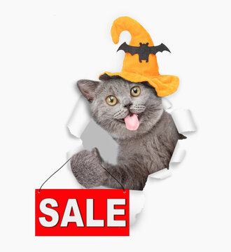 Funny cat with tongie out wearing hat for halloween looks through a hole in white paper and shows signboard with labeled "sale"