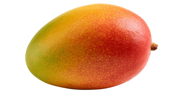 Ripe oval mango fruit with red and green skin texture