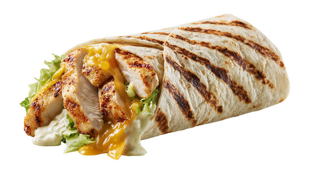 Grilled chicken wrap with melted cheddar cheese and fresh lettuce in flour tortilla